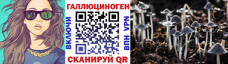 хочу наркоту  Новосибирск  Галлюциногенные грибы мицелий 