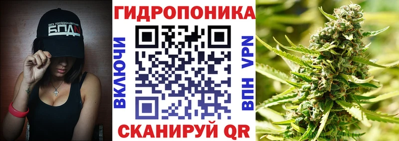 OMG как войти  Новосибирск  Канабис тримм 